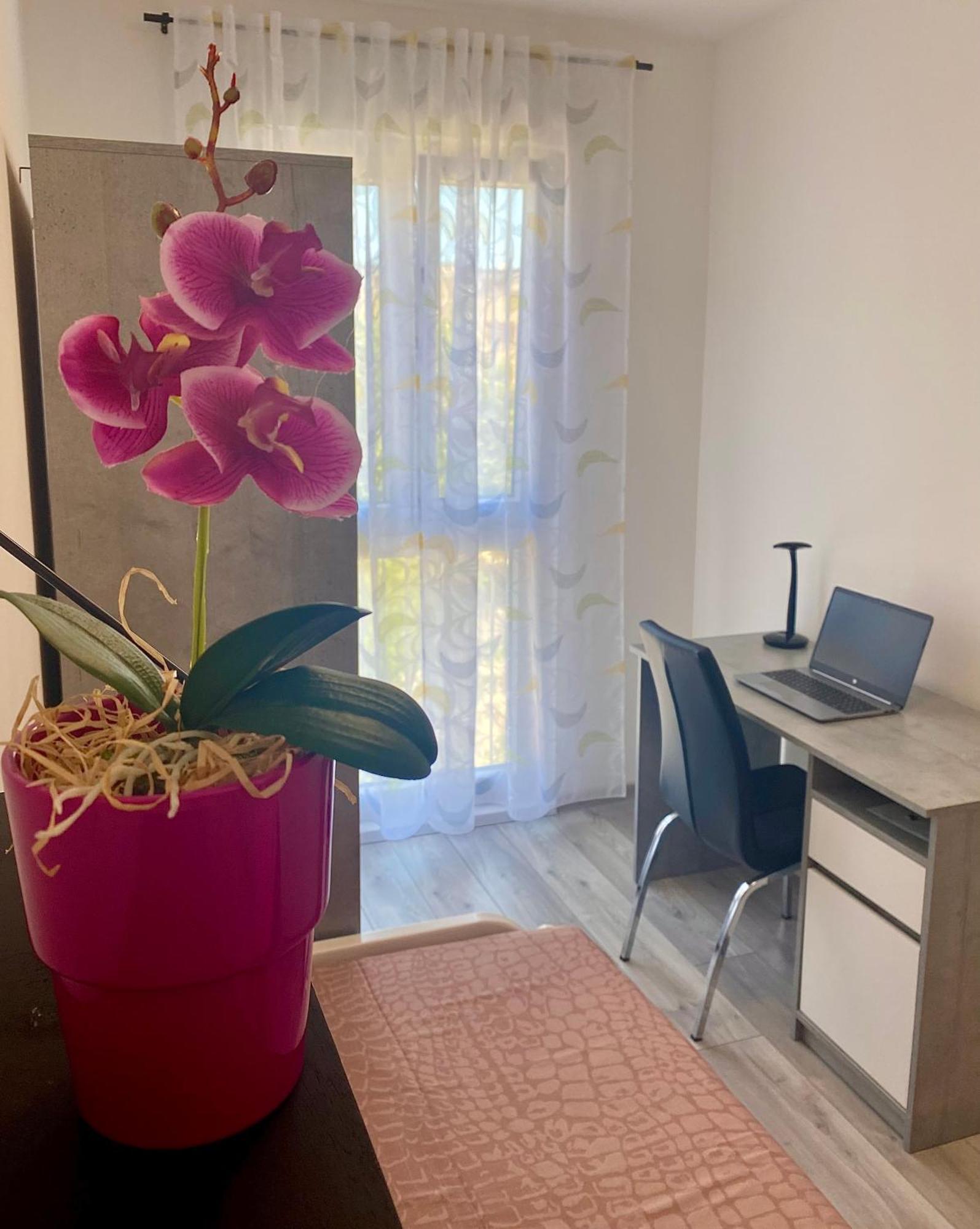 Ema Apartment Pula Ngoại thất bức ảnh